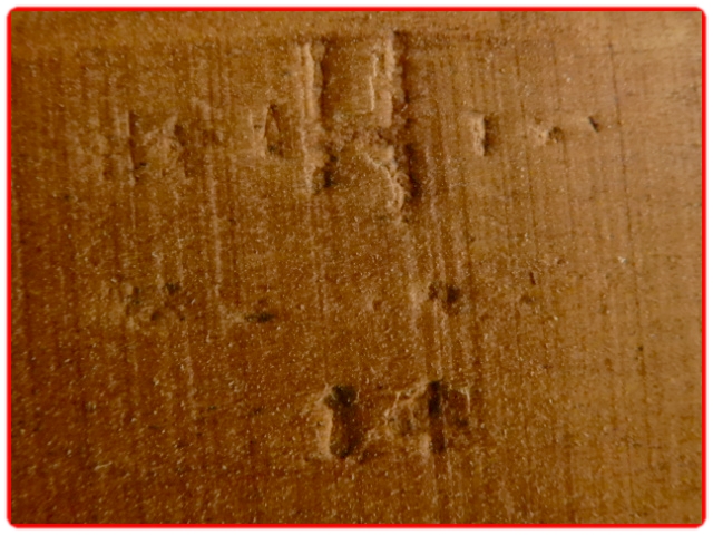 chaises scandinave estampillées