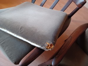 Fauteuils Grete Jalk estampillés